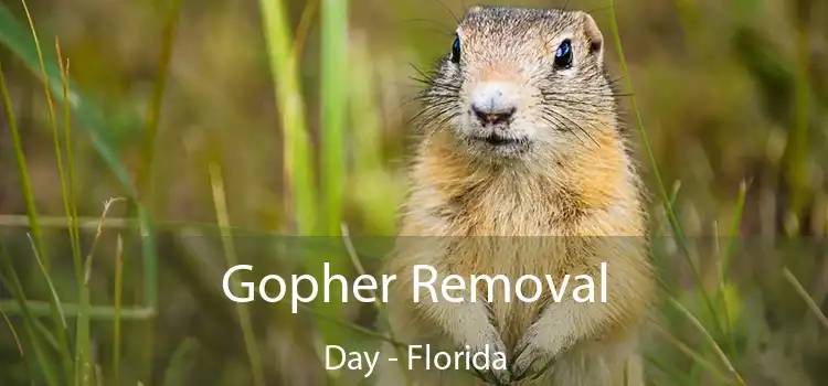 Gopher Removal Day - Florida