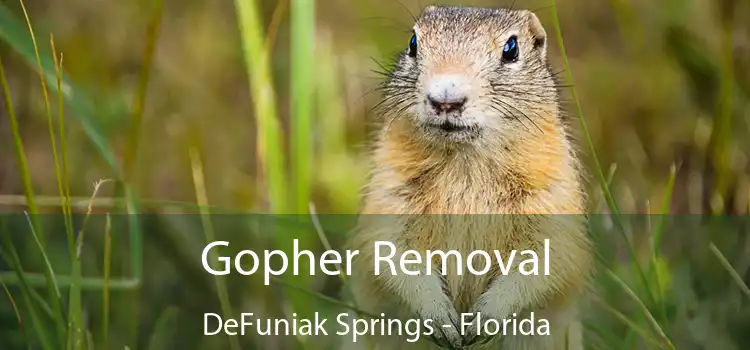 Gopher Removal DeFuniak Springs - Florida