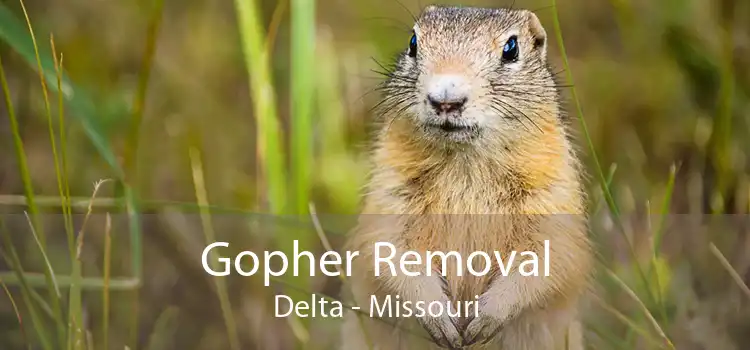 Gopher Removal Delta - Missouri