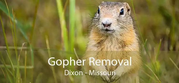 Gopher Removal Dixon - Missouri