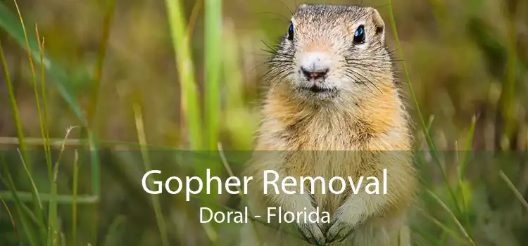 Gopher Removal Doral - Florida