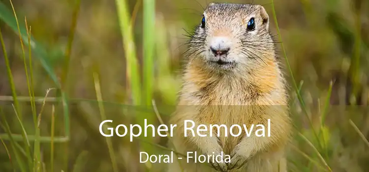 Gopher Removal Doral - Florida