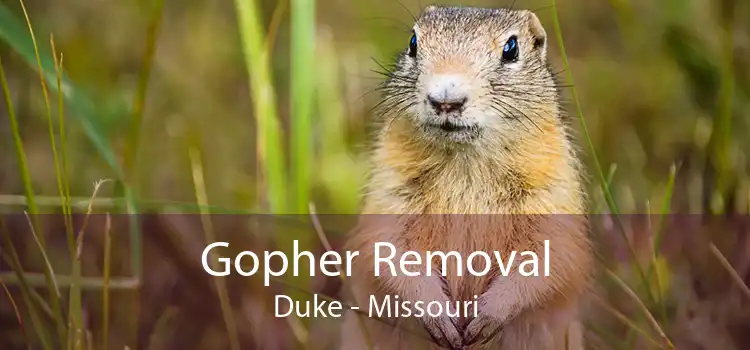 Gopher Removal Duke - Missouri