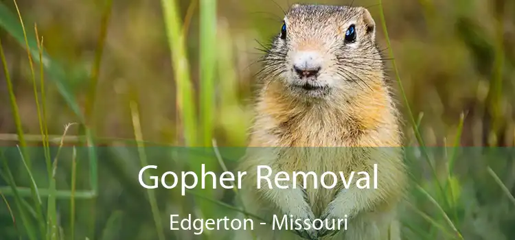 Gopher Removal Edgerton - Missouri