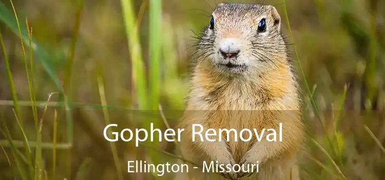 Gopher Removal Ellington - Missouri