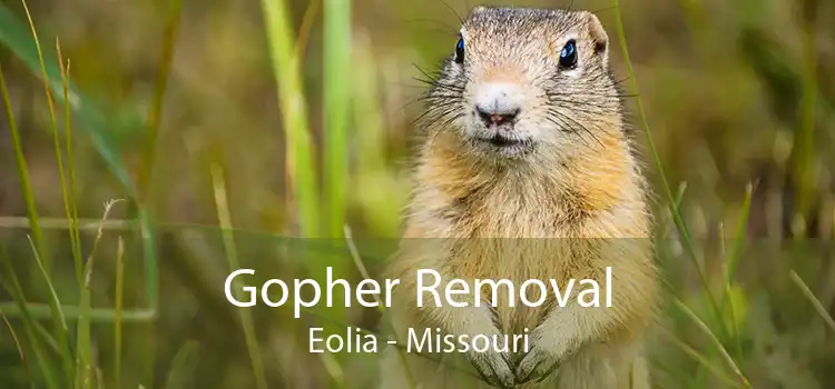 Gopher Removal Eolia - Missouri