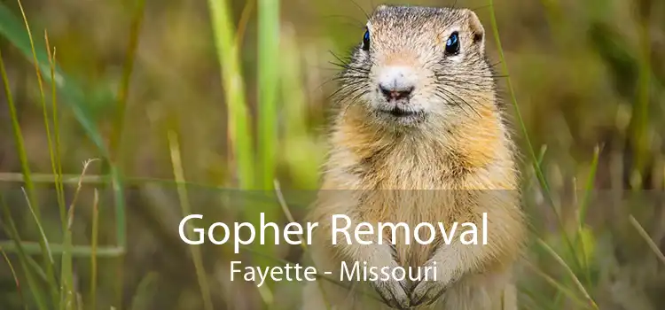 Gopher Removal Fayette - Missouri