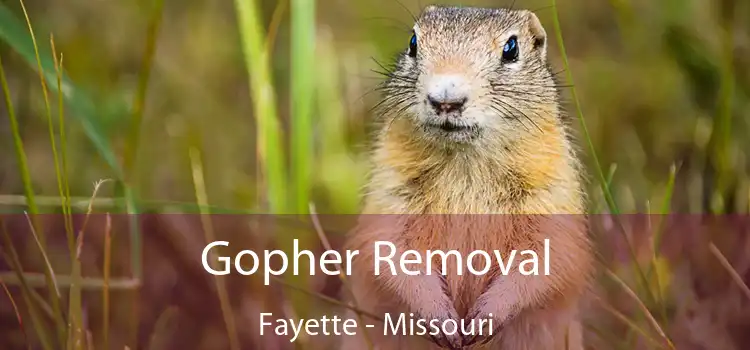 Gopher Removal Fayette - Missouri