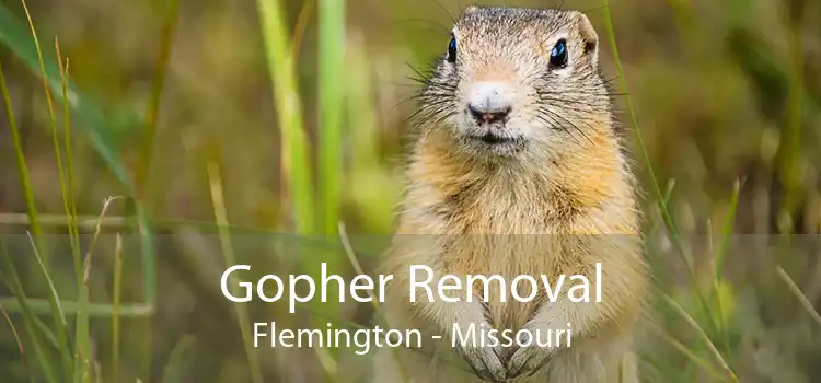 Gopher Removal Flemington - Missouri