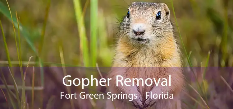 Gopher Removal Fort Green Springs - Florida