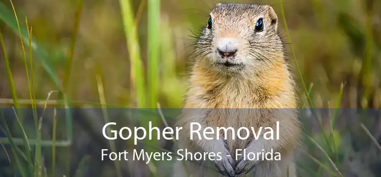 Gopher Removal Fort Myers Shores - Florida