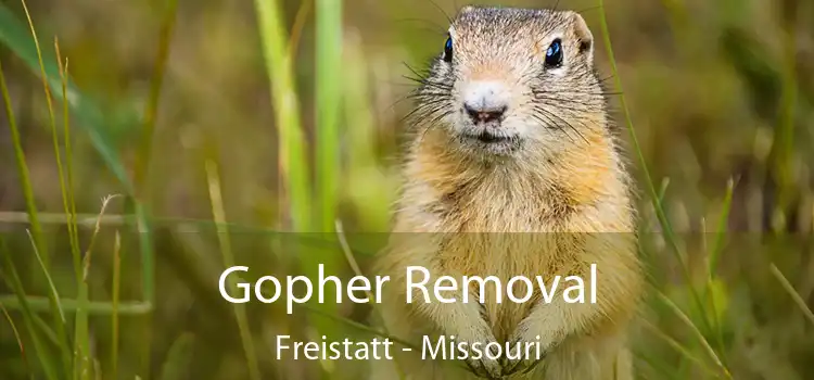 Gopher Removal Freistatt - Missouri