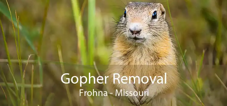 Gopher Removal Frohna - Missouri