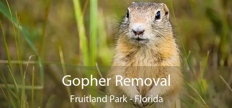 Gopher Removal Fruitland Park - Florida