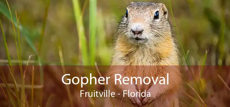 Gopher Removal Fruitville - Florida