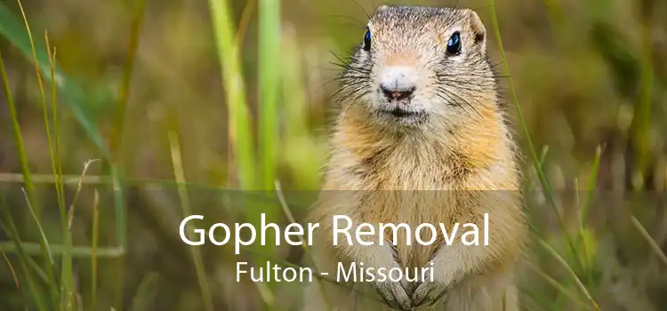 Gopher Removal Fulton - Missouri