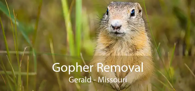 Gopher Removal Gerald - Missouri