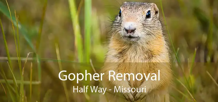 Gopher Removal Half Way - Missouri