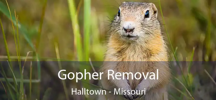 Gopher Removal Halltown - Missouri