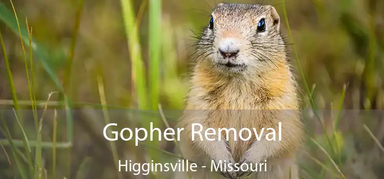 Gopher Removal Higginsville - Missouri