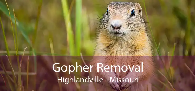 Gopher Removal Highlandville - Missouri