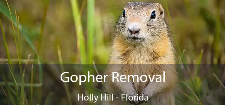 Gopher Removal Holly Hill - Florida