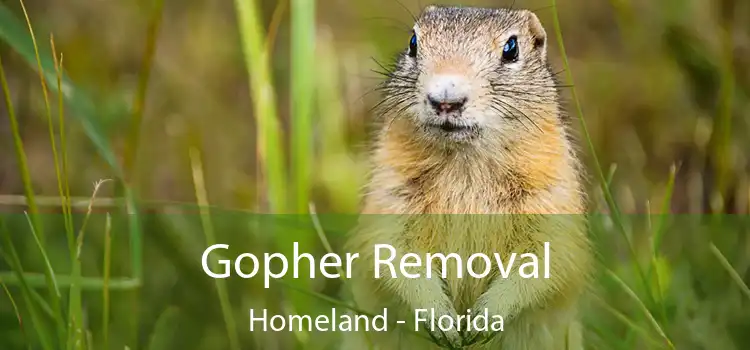 Gopher Removal Homeland - Florida