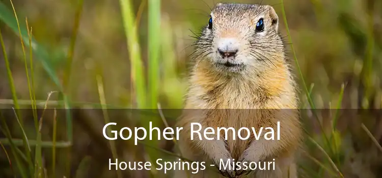 Gopher Removal House Springs - Missouri