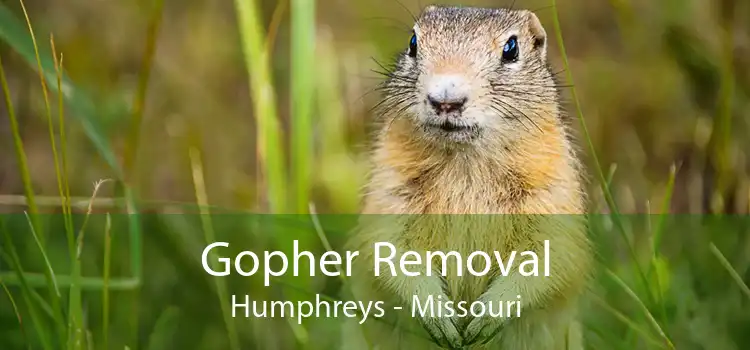 Gopher Removal Humphreys - Missouri