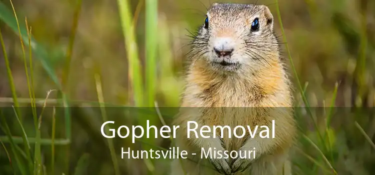 Gopher Removal Huntsville - Missouri