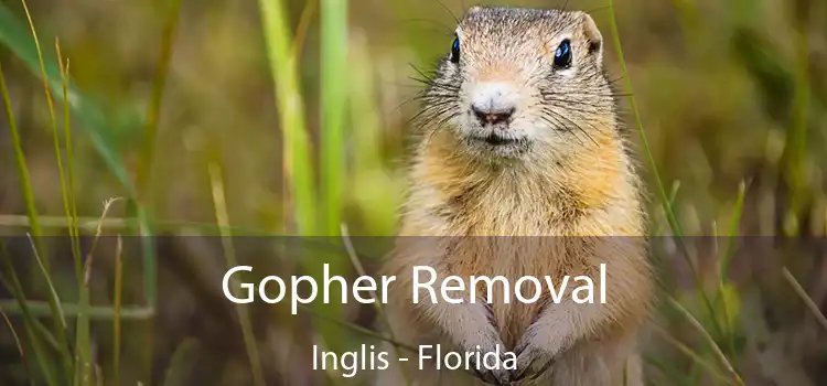 Gopher Removal Inglis - Florida