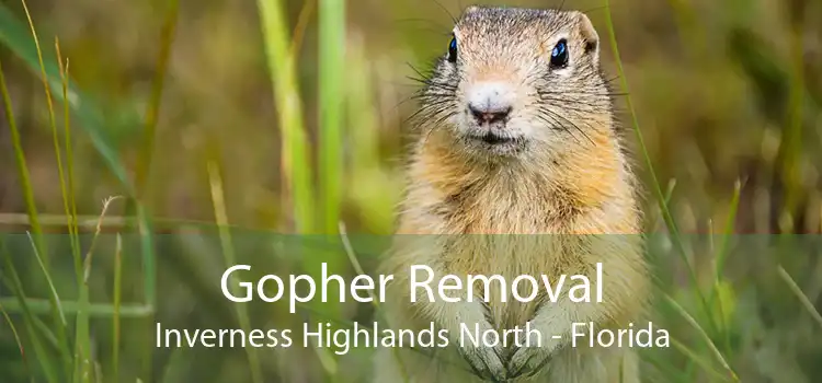 Gopher Removal Inverness Highlands North - Florida