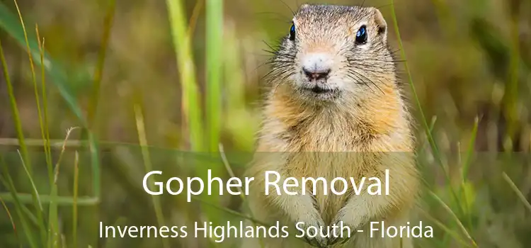 Gopher Removal Inverness Highlands South - Florida