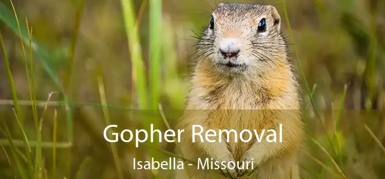 Gopher Removal Isabella - Missouri