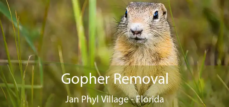 Gopher Removal Jan Phyl Village - Florida