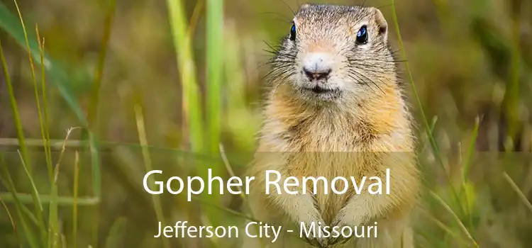 Gopher Removal Jefferson City - Missouri