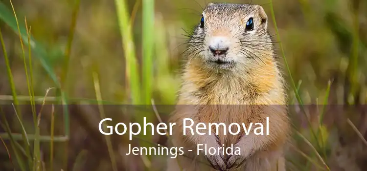 Gopher Removal Jennings - Florida
