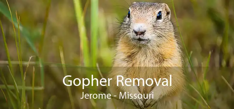 Gopher Removal Jerome - Missouri