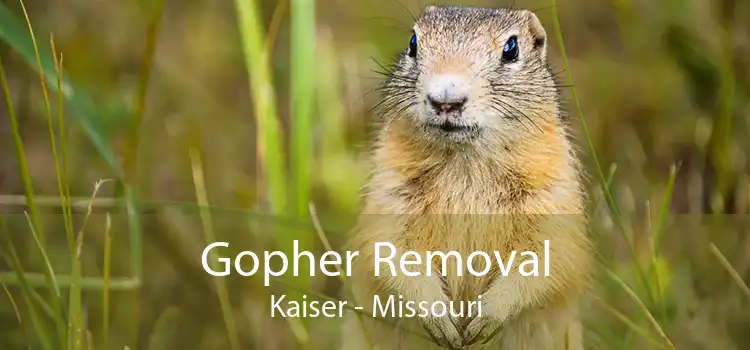 Gopher Removal Kaiser - Missouri