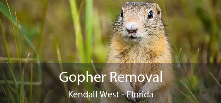 Gopher Removal Kendall West - Florida