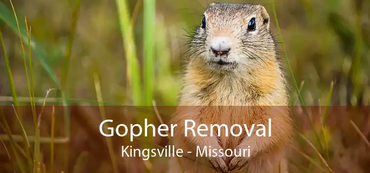 Gopher Removal Kingsville - Missouri