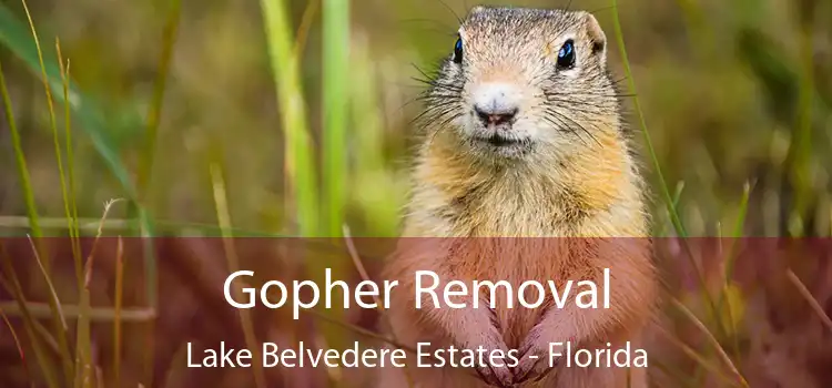 Gopher Removal Lake Belvedere Estates - Florida