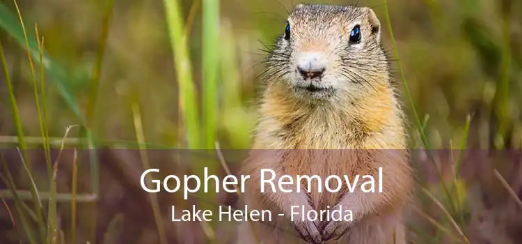 Gopher Removal Lake Helen - Florida