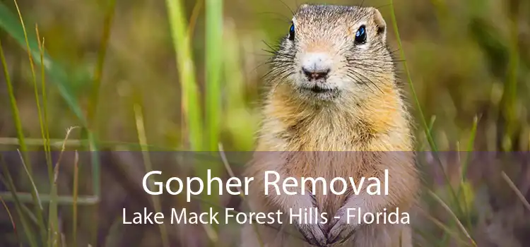 Gopher Removal Lake Mack Forest Hills - Florida