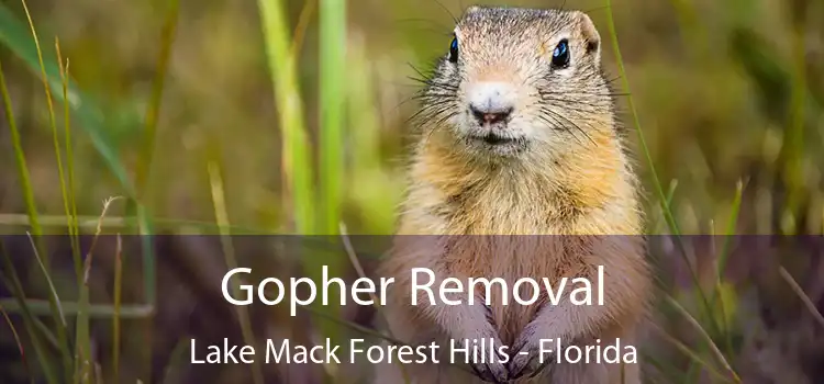 Gopher Removal Lake Mack Forest Hills - Florida