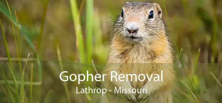Gopher Removal Lathrop - Missouri