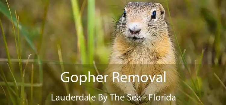 Gopher Removal Lauderdale By The Sea - Florida