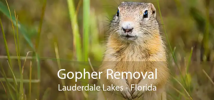 Gopher Removal Lauderdale Lakes - Florida