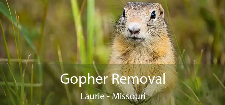 Gopher Removal Laurie - Missouri
