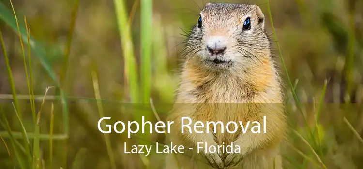 Gopher Removal Lazy Lake - Florida